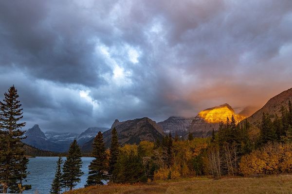 Haney, Chuck 아티스트의 Shoulder of Mount Cleveland bathed in golden sunrise light in Glacier National Park-Montana-USA작품입니다.